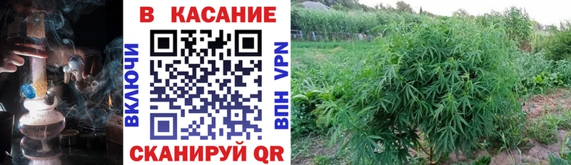 АМФЕТАМИН Игарка