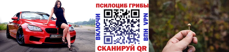Псилоцибиновые грибы прущие грибы  Купить закладки  Игарка 